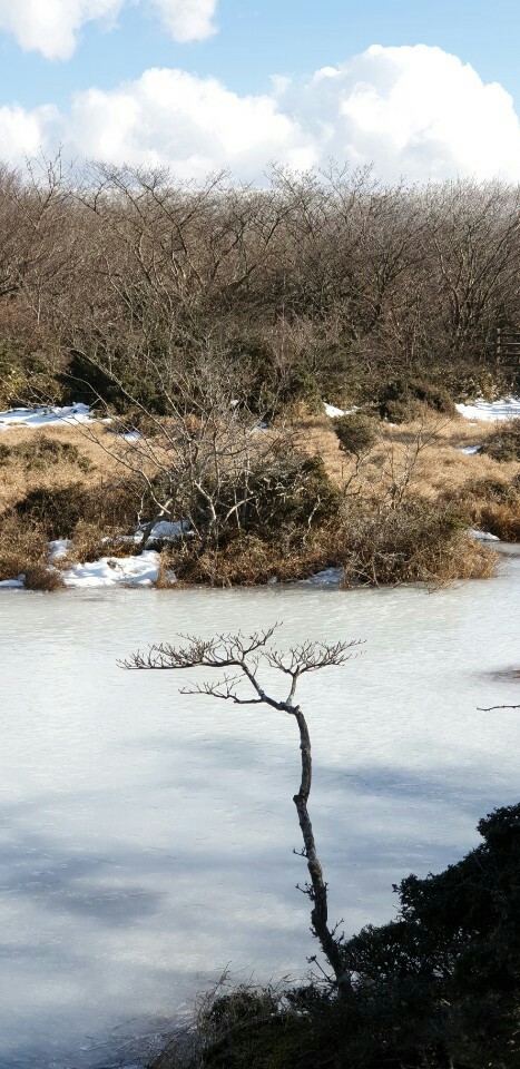 KakaoTalk_20190202_172143414.jpg