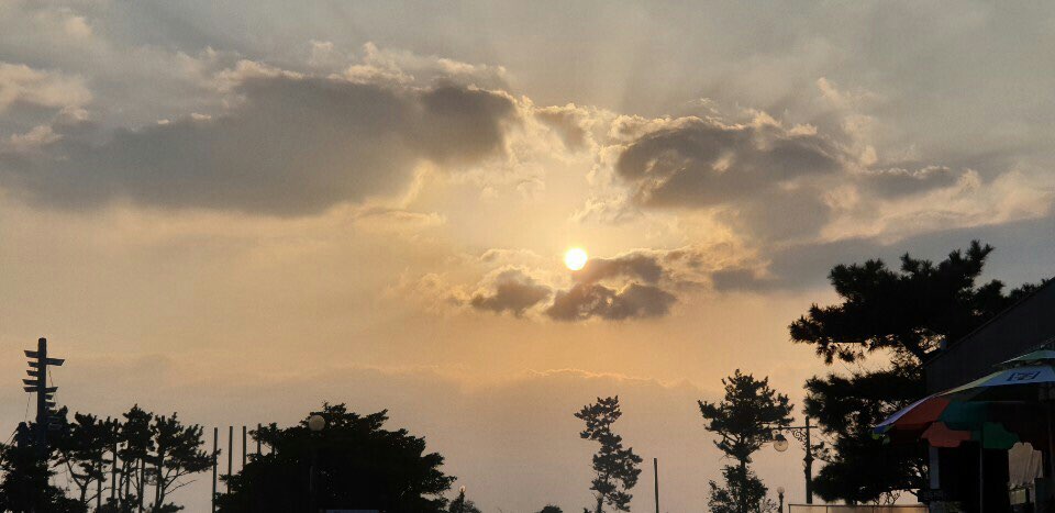 KakaoTalk_20190208_073456324.jpg